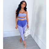 Sexy Printed Off Shoulder Bandage Tube Jumpsuit BN-9290