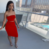 Sexy Solid Tube Top And Skirt Two Piece Sets TE-4301