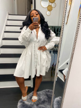 Casual Solid Long Sleeve Ruched Shirt Dress WY-6828