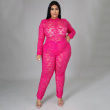 Plus Size Lace Perspective Bodysuit+Pants 2 Piece Sets NNWF-7264