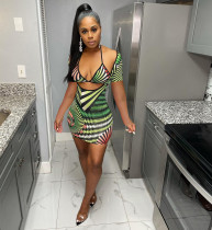 Sexy Print Summer Halter Bra Top And Dress Two Piece Set CXLF-KK816