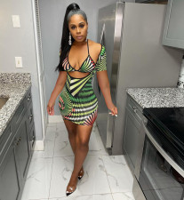 Sexy Print Summer Halter Bra Top And Dress Two Piece Set CXLF-KK816