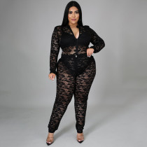 Plus Size Lace Perspective Bodysuit+Pants 2 Piece Sets NNWF-7264