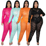 Plus Size Lace Perspective Bodysuit+Pants 2 Piece Sets NNWF-7264