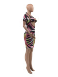 Sexy Print Summer Halter Bra Top And Dress Two Piece Set CXLF-KK816