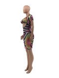 Sexy Print Summer Halter Bra Top And Dress Two Piece Set CXLF-KK816
