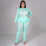 Plus Size Lace Perspective Bodysuit+Pants 2 Piece Sets NNWF-7264