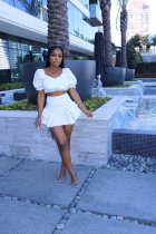 Fashion Solid Color Ruched Skirt Two Piece Sets CXLF-KK813