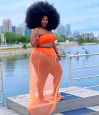 Plus Size Tube Top+Mesh Long Skirt 2 Piece Sets BLX-8225
