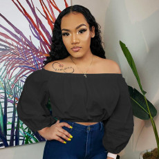 Solid Slash Neck Long Sleeve Crop Top BGN-187