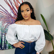 Solid Slash Neck Long Sleeve Crop Top BGN-187