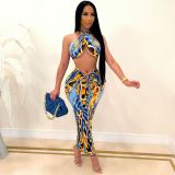 Sexy Printed Halter Crop Top Long Skirt 2 Piece Sets CHY-1317