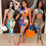 Sexy Printed Halter Crop Top Long Skirt 2 Piece Sets CHY-1317