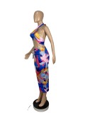 Sexy Printed Halter Crop Top Long Skirt 2 Piece Sets CHY-1317