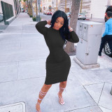 Solid Long Sleeve Bodycon Dress FOSF-8095