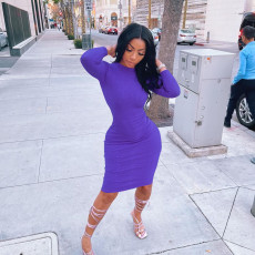 Solid Long Sleeve Bodycon Dress FOSF-8095