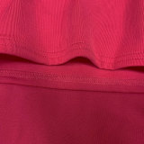 Solid Turtleneck Long Sleeve Thick Slim Midi Dress MZ-2589