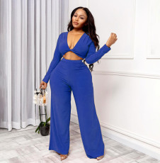 Solid V Neck Long Sleeve Wide Leg Pants 2 Piece Sets YIBF-6105
