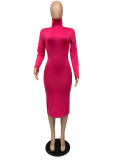 Solid Turtleneck Long Sleeve Thick Slim Midi Dress MZ-2589