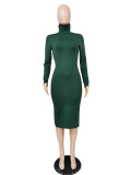 Solid Turtleneck Long Sleeve Thick Slim Midi Dress MZ-2589