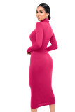 Solid Turtleneck Long Sleeve Thick Slim Midi Dress MZ-2589