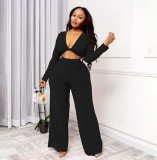 Solid V Neck Long Sleeve Wide Leg Pants 2 Piece Sets YIBF-6105