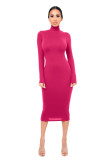 Solid Turtleneck Long Sleeve Thick Slim Midi Dress MZ-2589