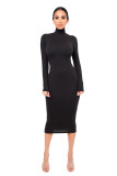 Solid Turtleneck Long Sleeve Thick Slim Midi Dress MZ-2589