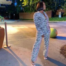 Casual Printed Blouse And Pants 2 Piece Suits MEM-88385