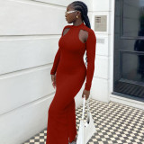 Solid Hollow Out Long Sleeve Slim Maxi Dress YMEF-5034