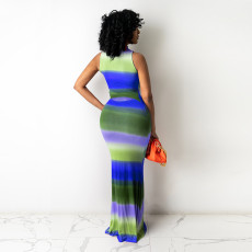 Sexy Striped Sleeveless Slim Maxi Dress HNIF-HN014
