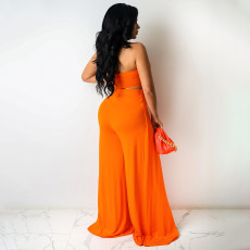 Sexy Solid Tube Top Split Pants Two Piece Sets HNIF-HN027