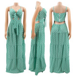 Plus Size Polka Dot Spaghetti Strpa Maxi Dress HNIF-HN032