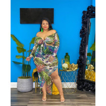 Plus Size Sexy Printed Full Sleeve Irregular Long Dress ASL-7051