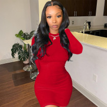Solid Long Sleeve Bodycon Dress FOSF-8098