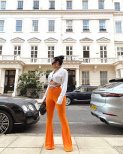 Solid Backless Blouse Top +Flare Pants 2 Piece Sets MEM-88389