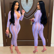 Sexy Grid Hollow Out Long Sleeve Zipper Jumpsuit AL-263