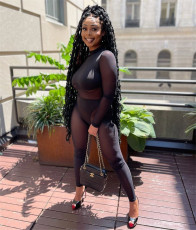 Sexy Mesh Patchwork Long Sleeve Jumpsuit FENF-175