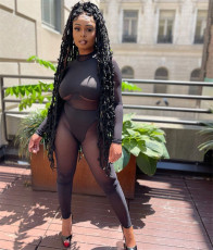 Sexy Mesh Patchwork Long Sleeve Jumpsuit FENF-175
