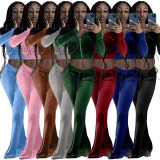 Solid Velvet Long Sleeve Zipper 2 Piece Pants Set FSL-F171