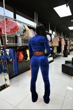 Solid Velvet Zipper Long Sleeve Top Flare Pants 2 Piece Suits NIK-263