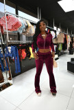 Solid Velvet Zipper Long Sleeve Top Flare Pants 2 Piece Suits NIK-263