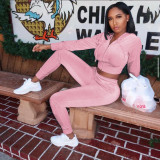 Solid Velvet Hooded Zipper Long Sleeve 2 Piece Pants Set IV-8244