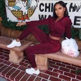 Solid Velvet Hooded Zipper Long Sleeve 2 Piece Pants Set IV-8244