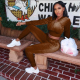 Solid Velvet Hooded Zipper Long Sleeve 2 Piece Pants Set IV-8244