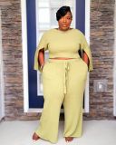 Plus Size Fat MM Solid Split Sleeve Two Piece Pants Set YS-8824