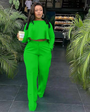 Plus Size Solid Long Sleeve Irregular Top And Pants 2 Piece Sets OD-8454