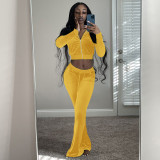 Solid Velvet Long Sleeve Zipper 2 Piece Pants Set FSL-F171