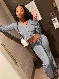 Solid Velvet Hooded Long Sleeve Zipper 2 Piece Pants Set FSL-F172