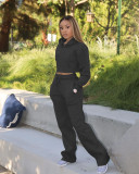 Solid Plush Hoodie Top And Pants Casual 2 Piece Suits FSL-F173